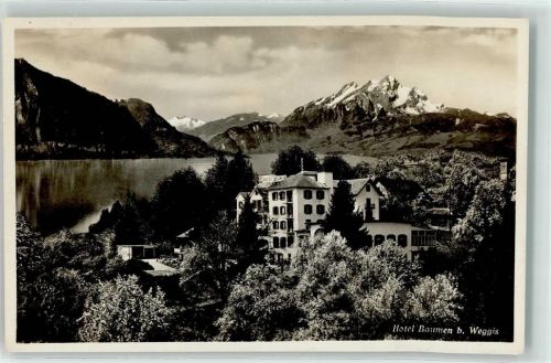 Weggis Hotel Baumen