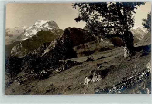 Braunwald