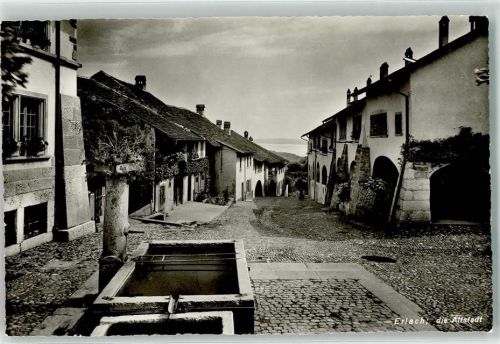 Erlach Brunnen