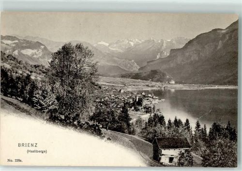 Brienz BE Hasliberge