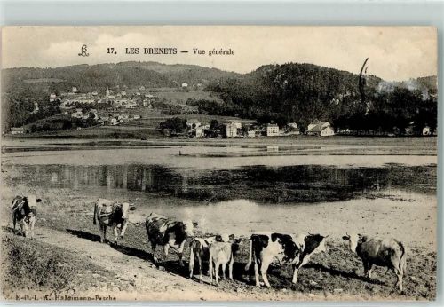 Les Brenets 1912 Kühe am See