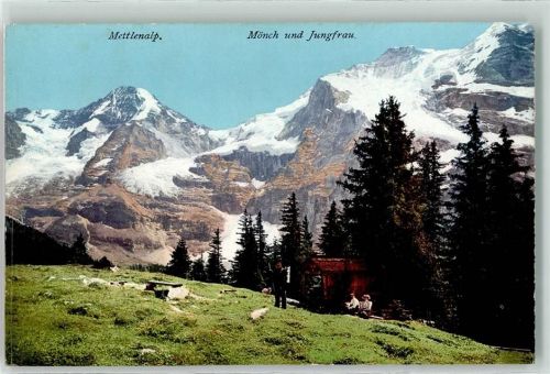 Mettlenalp Möch Jungfrau