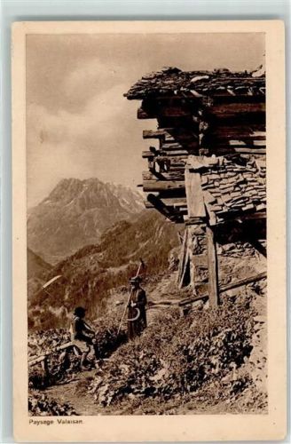 Finhaut Walliser Landschaft