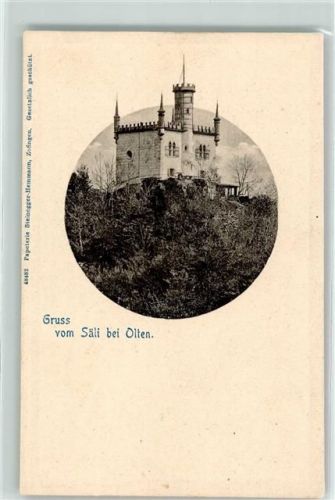 Olten Säli Schloss