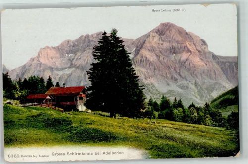 Adelboden BE Grosse Schirmtanne Gross Lohner