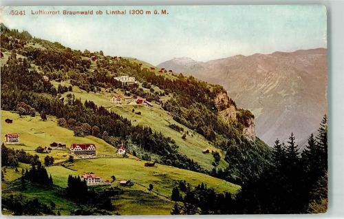 Braunwald 1911