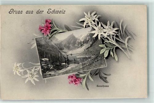Seealpsee 1907 Alpenrosen und Edelweiss