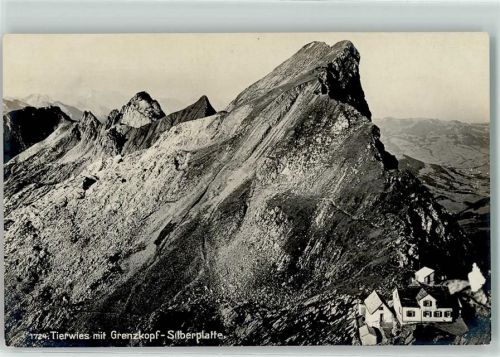 Tierwis Grenzkopf Silberplatte