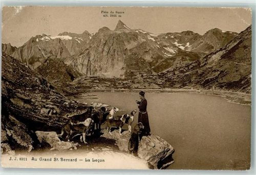 Hospiz Großer Sankt Bernhard Pass 1913 Lac Lecon Mönch mit Hunden