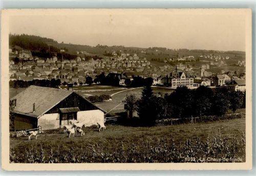 La Chaux-de-Fonds