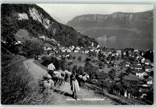 6442 Gersau - Bauer mit Schafherde