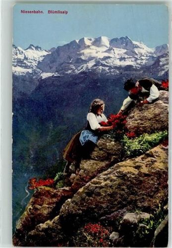 Blüemlisalp Mürren Paar beim Enzian pflücken