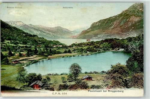 Ringgenberg BE 1909 Faulenseeli