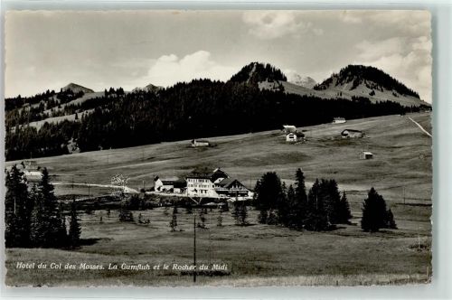Col des Mosses Hotel Gumfluh