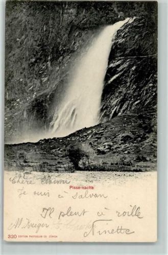 Salvan 1904 Pisse vache