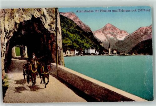 Axenstrasse Pferdekutsche Bristenstock Flüelen