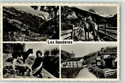 Evolène Les Hauderes Ziege Pferd mit Reiter