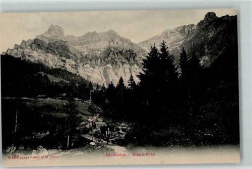Adelboden BE Stegbrücke