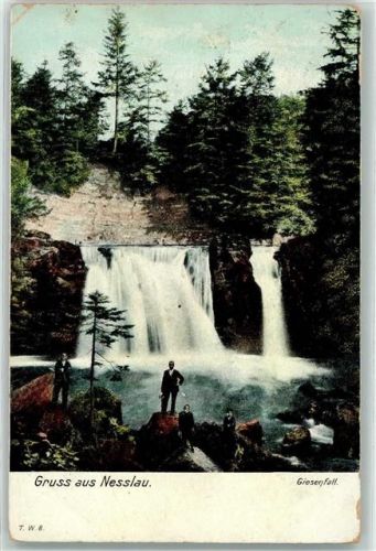 9650 Nesslau 1907 - Giesenfall