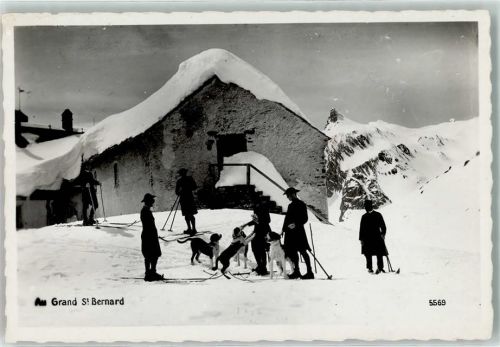 Hospiz Großer Sankt Bernhard Pass Skifahrer Bernhardinerhunde