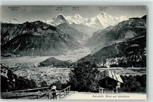 Interlaken Amisbühl Alpenkette