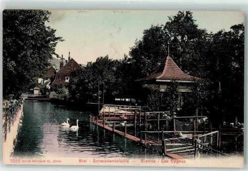 Biel/Bienne Schwäne
