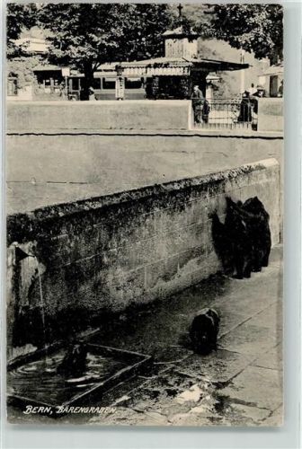 3000 Bern Berne - Bärengraben