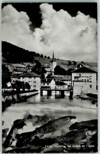 Vallorbe Forellen