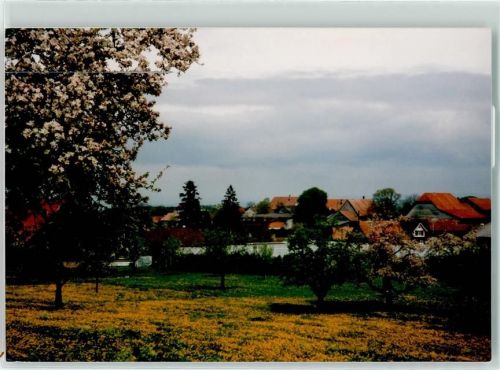 Zuben