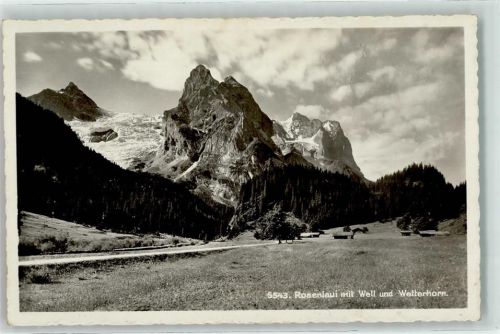 Rosenlaui Well und Wetterhorn