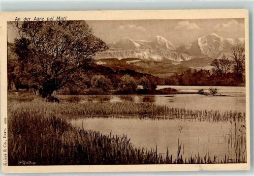 Muri b. Bern 1909 An der Aare sign. A Gurtner