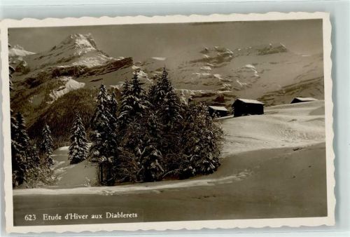 Les Diablerets Winter