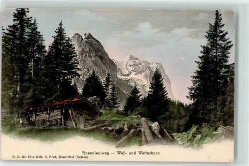Rosenlaui Well und Wetterhorn