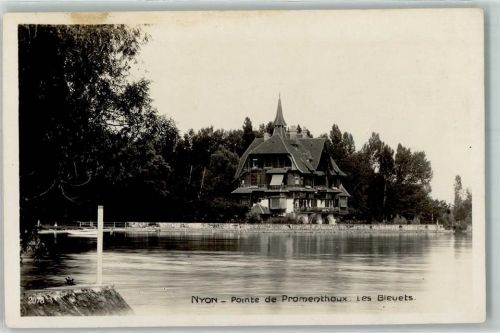 Nyon Pointe de Promenthoux Les Bleuets