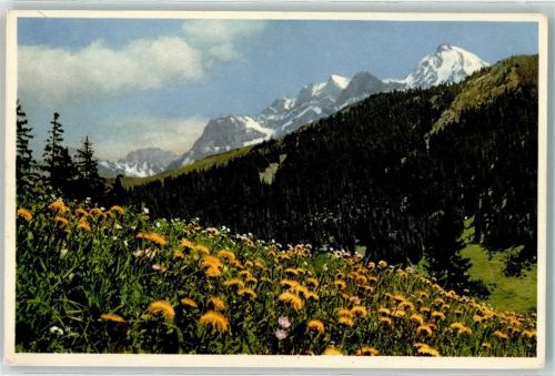 Adelboden BE Blumenwiese