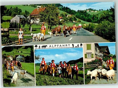 9658 Wildhaus - Alpabfahrt Kühe und Ziegen Ort lt. Stempel
