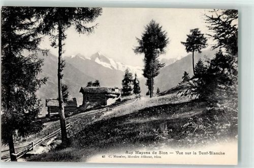 Les Mayens-de-Sion Dent Blanche