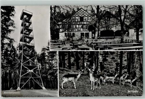 Winterthur Aussichtsturm Rotwild im Wildpark Bruderhaus