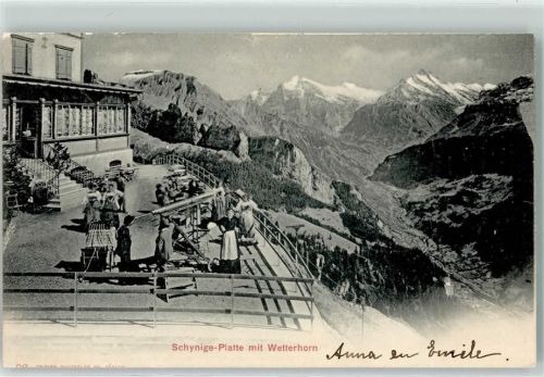 Schynige Platte 1901 Terrasse Wetterhorn