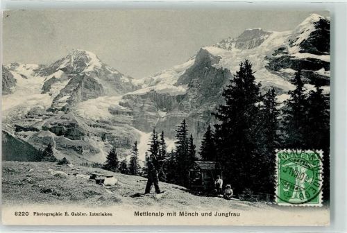 Mettlenalp 1909 Möch Jungfrau