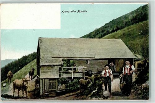 Appenzell Appenzeller Alphütte Sennen Kühe