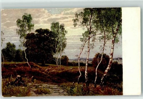 Birkenlandschaft Adolf Stäbli