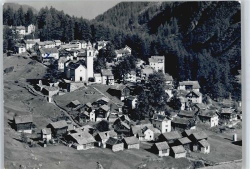 Bosco/Gurin