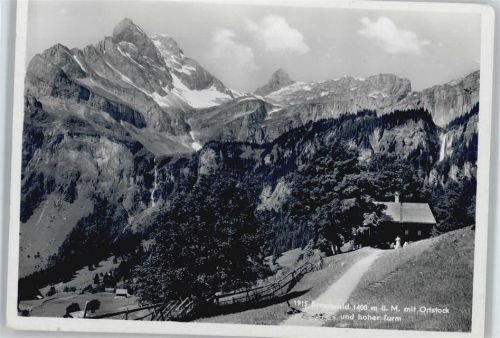 Braunwald Berg Panorama