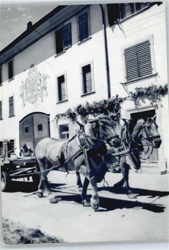 8213 Neunkirch - Bauernhof Kutsche