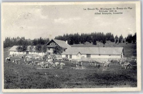 Gorgier Bergbauernhof, La grand Vy