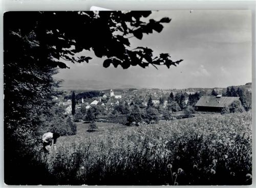 Oetwil am See