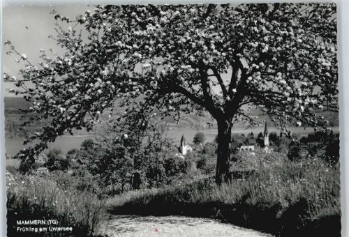 8265 Mammern - Teilansicht