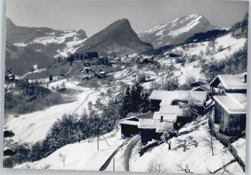 Seewis-Pardisla Berg Panorama