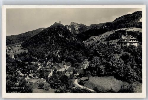 4437 Waldenburg - Kirche, Ortsansicht, Bergpanorama